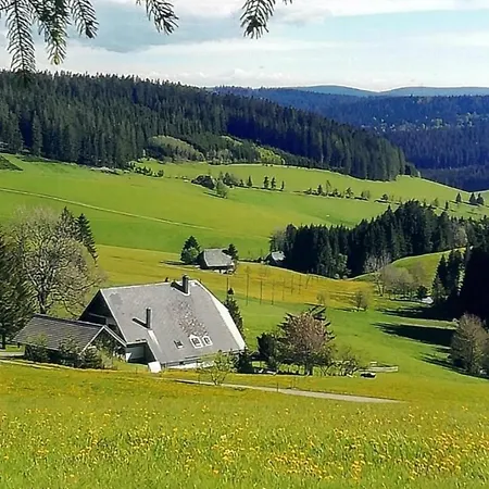 Apartment Sommerruhe *
