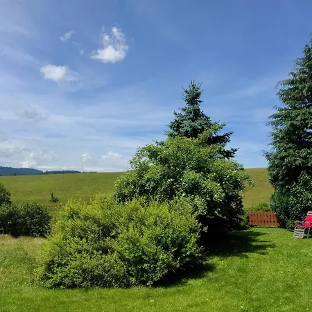 Sommerruhe * Titisee-Neustadt